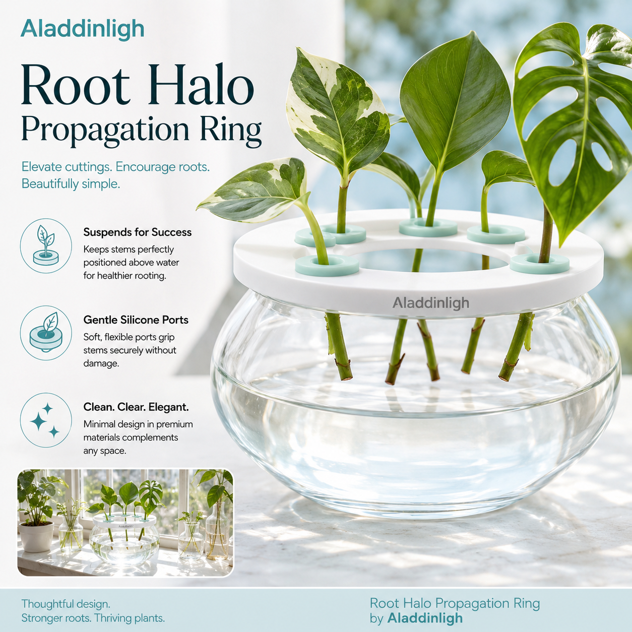 Aladdinligh™ Root Halo Propagation Ring