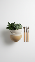 Premium Botanical Starter Kit with Sculptural Tools