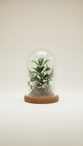 Mini Glass Cloche Terrarium with Rare Foliage